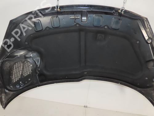 Used Hood PEUGEOT 206+ (2L_, 2M_) 1.4 HDi eco 70 (68 hp) 28068151