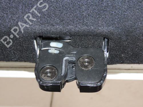 Used Tailgate Tailgate RENAULT LATITUDE (L70_) 2.0 dCi 150 (L70H) (150 hp) 39660138 39660138