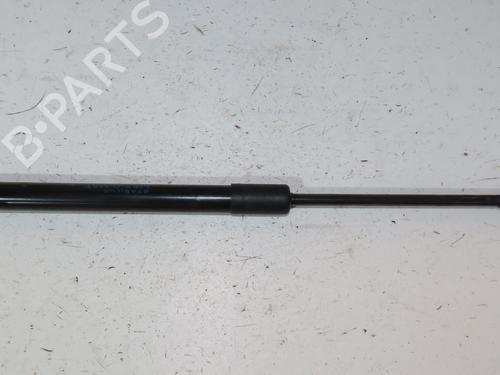 Used Tailgate lift support RENAULT TWINGO II (CN0_) [2007-2025]  29344729