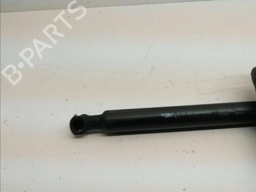 Gasdæmper bagklap CITROËN C3 II (SC_) 1.4 HDi 70 (SC8HZC, SC8HR0, SC8HP4) (68 hp) 14898867