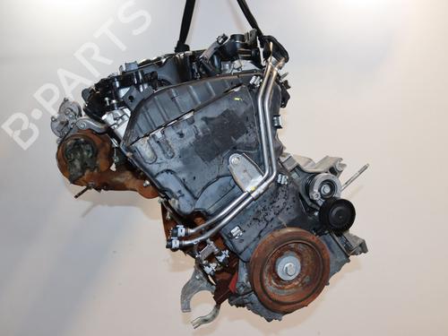 Engine RENAULT MEGANE IV Hatchback (B9A/M/N_) 1.5 Blue dCi 115 (B9A6) | BP28503969M1
