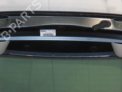 Used Tailgate RENAULT ZOE (BFM_) ZOE (BFMD) (109 hp) 30291886