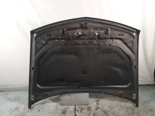 Hood RENAULT VEL SATIS (BJ0_) 2.2 dCi (BJ0E, BJ0F) | BP9012239C1