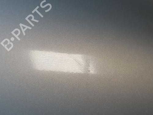 Used Right front door RENAULT CLIO II (BB_, CB_) 1.5 dCi (B/CB07) (65 hp) 24214946
