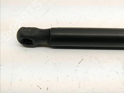 Tailgate lift support FORD FOCUS II (DA_, HCP, DP) 1.6 TDCi | BP14898839C138 