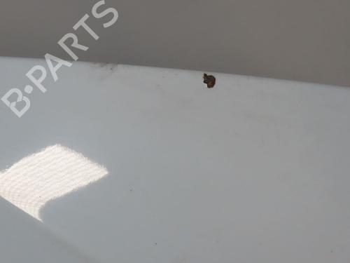 Used Hood VW GOLF VI (5K1) 1.6 TDI (105 hp) 29740257