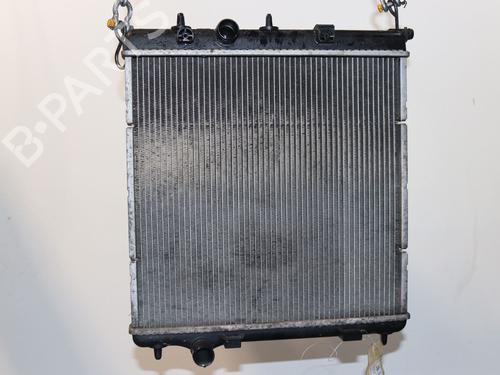 Used Water radiator PEUGEOT 207 (WA_, WC_) 1.4 16V (95 hp) 24345133