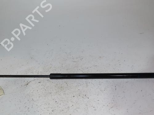 tailgate-lift-support-ford-kuga-ii-dm2-2012-24489403 main image