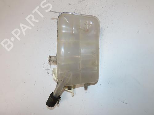 Ekpansionstank RENAULT MEGANE III Hatchback (BZ0/1_, B3_) 1.6 16V Hi-Flex (BZ03) (110 hp) 27581047