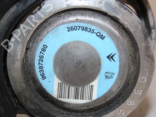 Steering pump PEUGEOT 206 Hatchback (2A/C) 2.0 HDI 90 | BP25830466M99