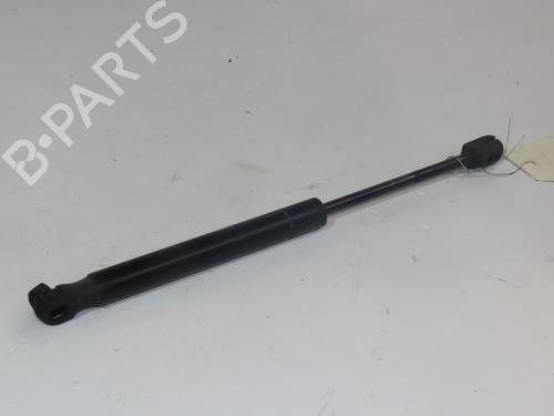 Hood lift support LAND ROVER RANGE ROVER EVOQUE (L538) 2.2 D 4x4 | BP17514699C139
