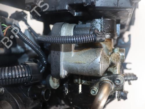 Used Engine Engine VW POLO (6N2) 1.4 16V (75 hp) 33416254 33416254