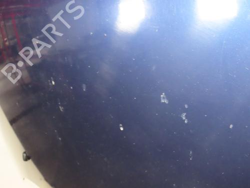 Used Hood Hood CITROËN C3 I (FC_, FN_) 1.4 HDi (68 hp) 34456779 34456779