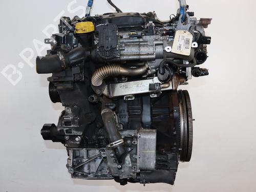 Engine RENAULT KOLEOS I (HY_) 2.0 dCi 4x4 (HY0K) | BP37186345M1 - Image 6