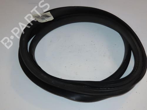 Gummiliste RENAULT CLIO V (B7_) 1.0 TCe 90 (B7MT) (91 hp) 27728736