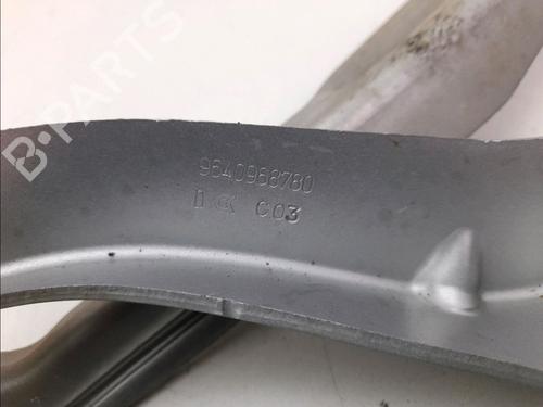 Used Hinge/Door check strap PEUGEOT 407 (6D_) 2.0 HDi 135 (6DRHRH, 6DRHRE, 6DRHRG, 6DRHRJ) (136 hp) 14897584