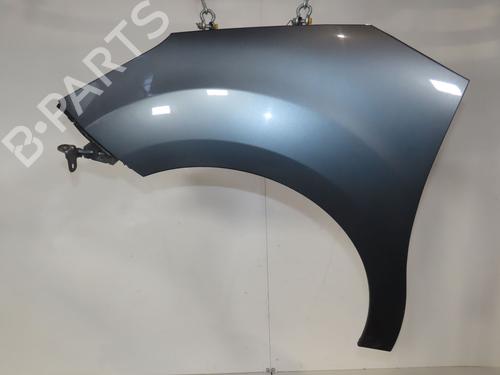 Left front fenders CITROËN C3 II (SC_) 1.6 HDi 90 | BP32458336C41 