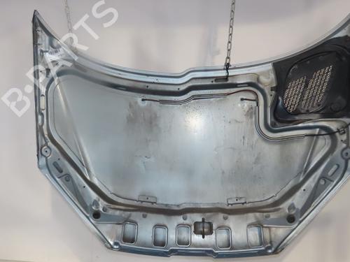 Used Hood PEUGEOT 206 Hatchback (2A/C) 1.9 D (69 hp) 30366145