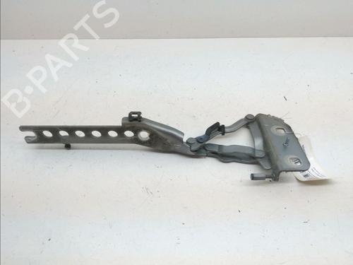 Hinge/Door check strap AUDI A8 D3 (4E2, 4E8) 3.0 TDI quattro | BP14960287C146