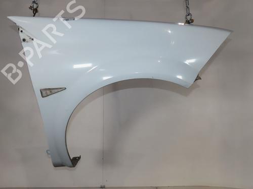 Used Right front fenders RENAULT MEGANE II (BM0/1_, CM0/1_) 1.5 dCi (BM0F, BM0T, BM2B, CM0F, CM0T) (82 hp) 24871565