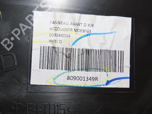 Used Front right panel DACIA SANDERO III 1.0 TCe 100 ECO-G (101 hp) 17657616