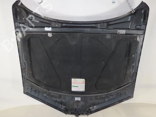 Used Hood ALFA ROMEO BRERA (939_) 2.4 JTDM 20V (939DXD1B, 939DXD12) (200 hp) 29601524