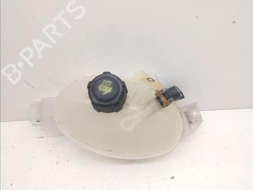 Used Expansion tank RENAULT MASTER III Van (FV) 2.3 dCi 135 FWD (FV0N, FV08, FV06, FV00, FV1S) (136 hp) 15009017