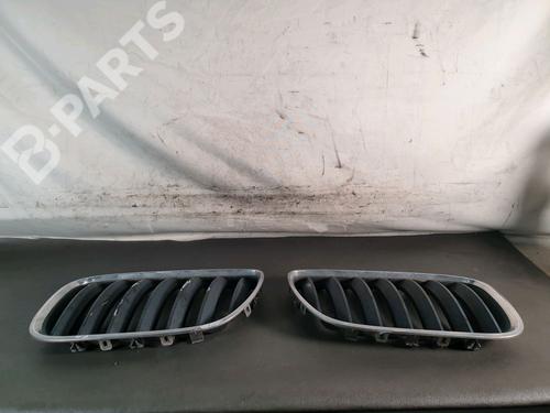 front-grille-bmw-x5-e53-30-d-51137113733-2000-2001-2002-2003-2004-2005-2006-9011866 main image