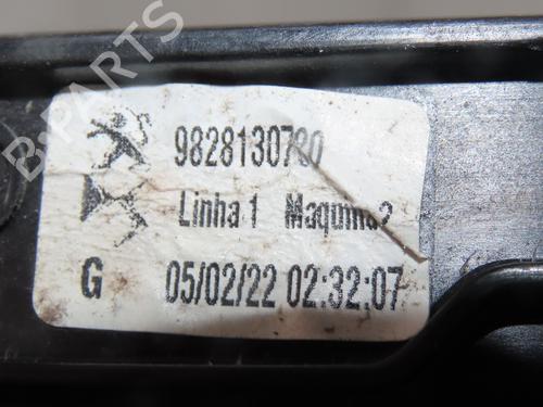 Used Front left window mechanism PEUGEOT 2008 II (UD_, US_, UY_, UJ_, UR_, UC_) 1.5 BlueHDI 110 (UDYHSK) (110 hp) 28970035