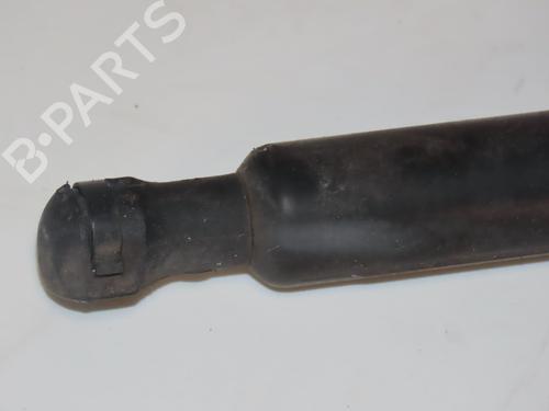 Used Tailgate lift support RENAULT LAGUNA III Grandtour (KT0/1) 2.0 dCi (KT0M, KT0N, KT0S, KT19, KT1F) (173 hp) 30404735