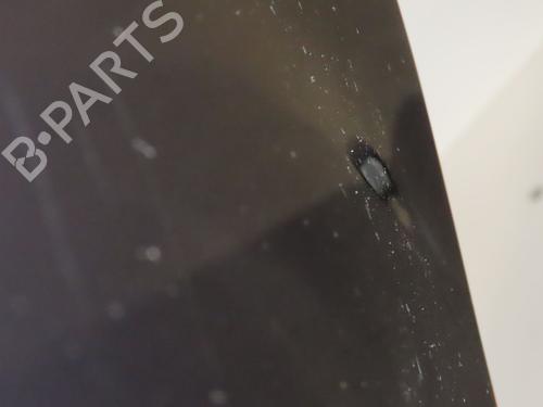 Used Left front fenders DS DS 3 (SA_) 1.6 BlueHDi 100 (SABHY0, SABHYT) (99 hp) 28572619