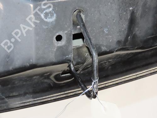 hood-citroen-c3-ii-sc_-2009-34332727 main image