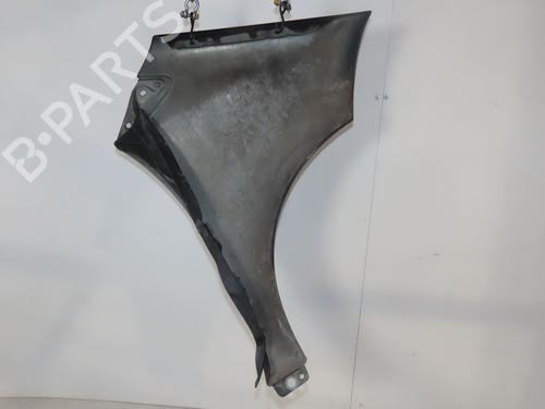 Left front fenders MERCEDES-BENZ A-CLASS (W169) A 180 CDI (169.007, 169.307) | BP29929846C41 
