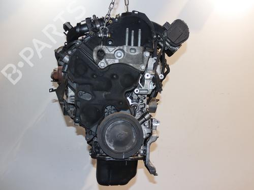 Engine FORD FIESTA VI (CB1, CCN) 1.6 TDCi | BP10685046M1