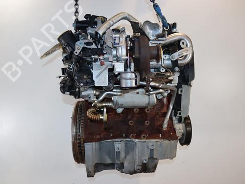 Engine RENAULT MEGANE III Hatchback (BZ0/1_, B3_) 1.5 dCi (BZ09, BZ0D, BZ1W, BZ29, BZ14) | BP39966911M1 - Image 3