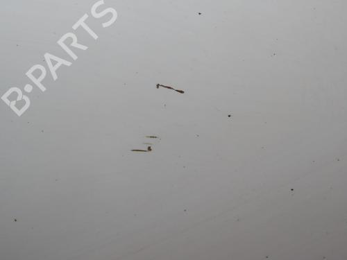 Left front door RENAULT MEGANE III Hatchback (BZ0/1_, B3_) 1.5 dCi (BZ0C) | BP27095352C2 