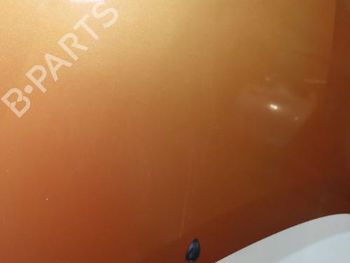 Used Hood Hood RENAULT TWINGO II (CN0_) 1.5 dCi (CN0E) (64 hp) 36758662 36758662