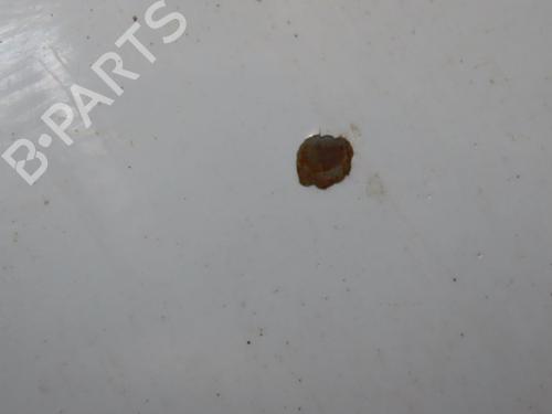 Used Hood FIAT 500 (312_) 1.2 (312AXA1A) (69 hp) 26917301