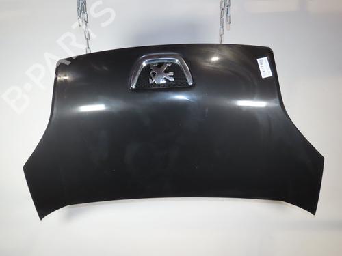 Used Hood PEUGEOT BIPPER Tepee 1.4 HDi (68 hp) 23162269