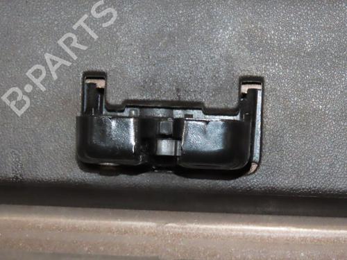 Used Tailgate RENAULT SCÉNIC III (JZ0/1_) 1.9 dCi (JZ0J, JZ1J, JZ1K, JZ1S) (131 hp) 30048074