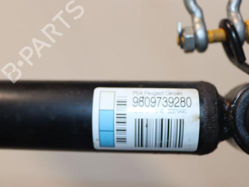 BP23160533M19 main image