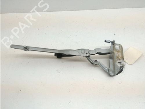 Hinge/Door check strap AUDI A8 D3 (4E2, 4E8) 3.0 TDI quattro | BP14960287C146 