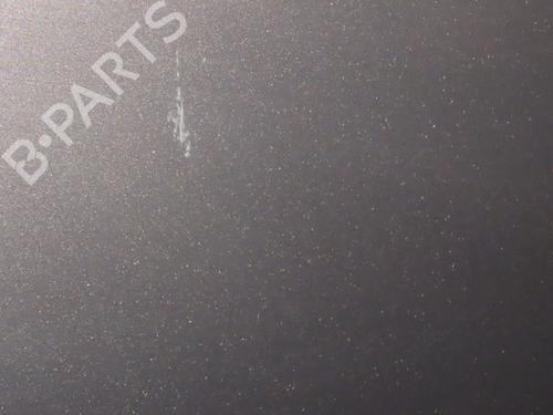 Left rear door RENAULT SCÉNIC III (JZ0/1_) 1.9 dCi (JZ0J, JZ1J, JZ1K, JZ1S) | BP29963043C4 