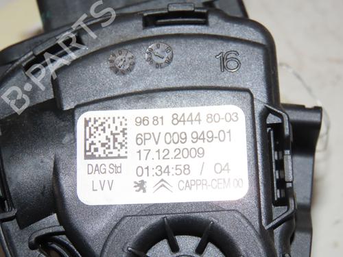 Pedal CITROËN C3 II (SC_) 1.6 HDi 90 | BP32458292I4