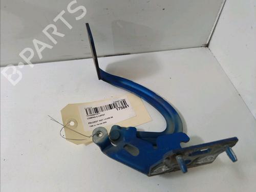 Used Hinge/Door check strap PEUGEOT 1007 (KM_) 1.4 HDi (68 hp) 14897620