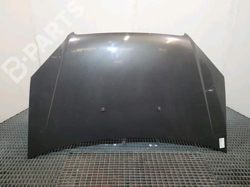 Used Hood FIAT DOBLO Box Body/MPV (223_) 1.3 D Multijet (75 hp) 9029180