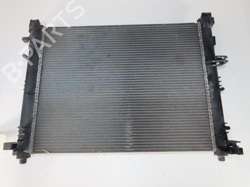 Used Water radiator DACIA LODGY (JS_) 1.5 dCi (90 hp) 27393650