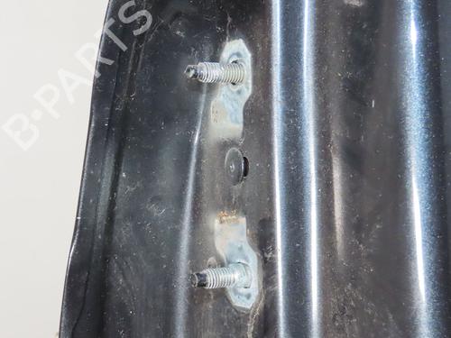 Dør høyre bak RENAULT SCÉNIC III (JZ0/1_) 1.9 dCi (JZ0J, JZ1J, JZ1K, JZ1S) (131 hp) 30840740