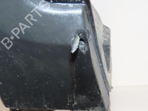 Used Left front fenders RENAULT SCÉNIC III (JZ0/1_) 1.6 dCi (JZ00, JZ12) (130 hp) 25015380