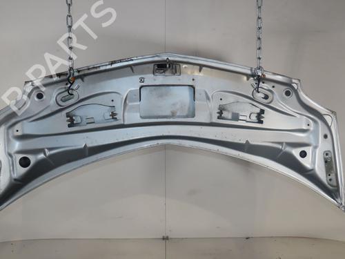 Panser RENAULT MODUS / GRAND MODUS (F/JP0_) 1.2 (JP0C, JP0K, FP0C, FP0K, FP0P, JP0P, JP0T) (75 hp) 24601407